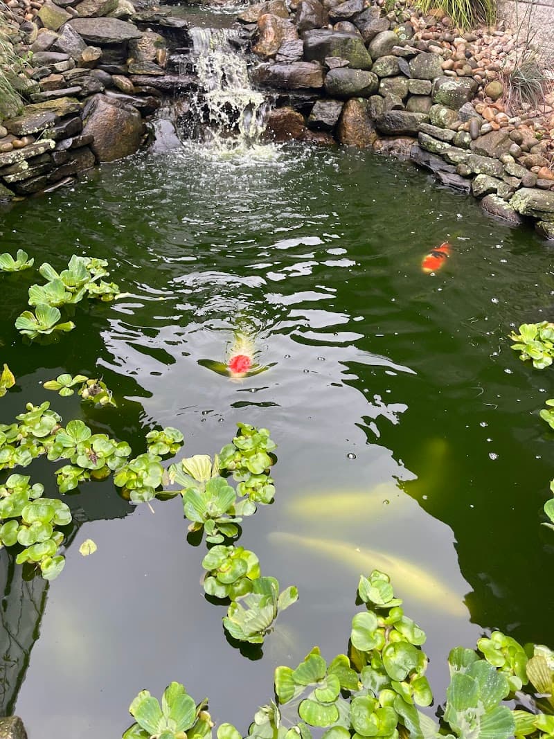 Marsh Botanical Garden at Yale