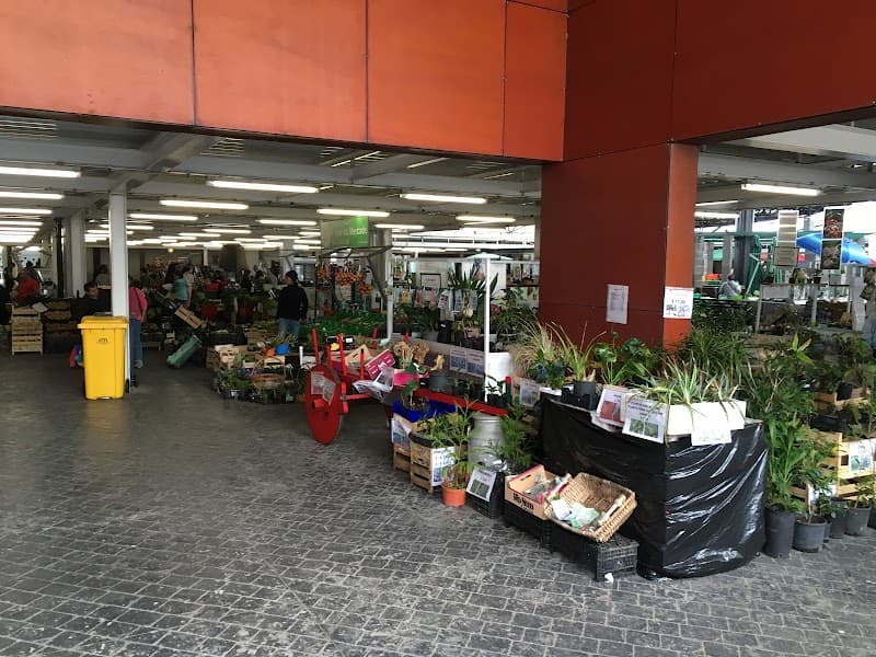 Mercado da Graça