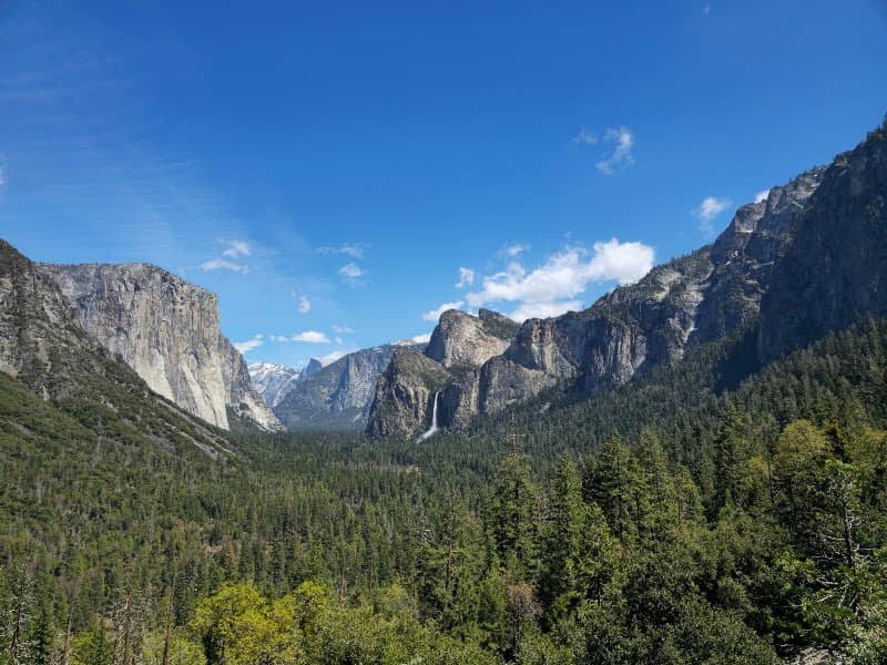Merced River & Meadow Photography Stroll