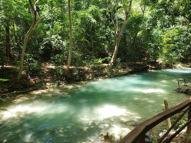 Mom's Kitchen Ocho Rios