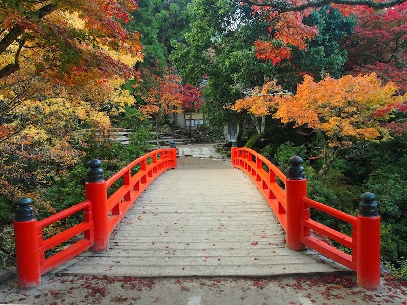 Momijidani Park Forest Walk