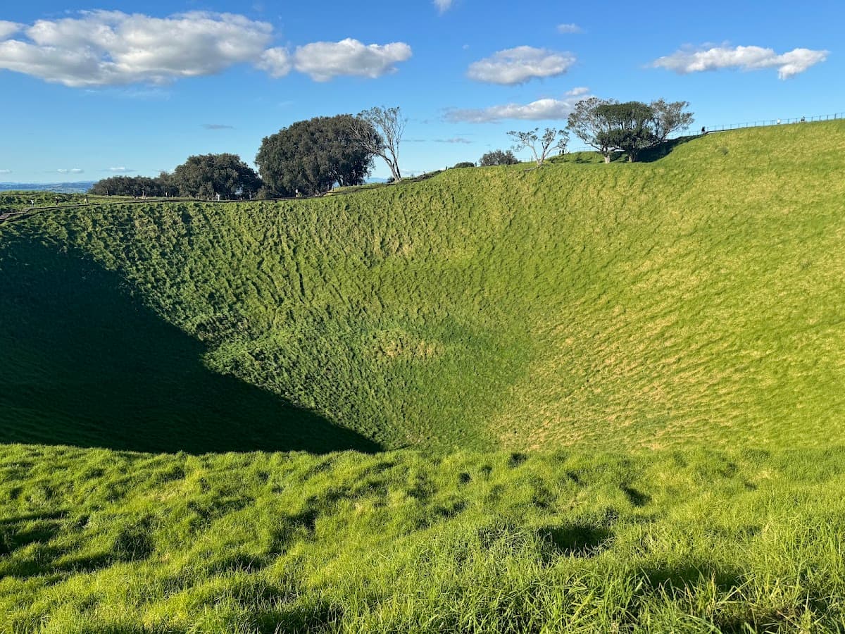 Auckland Urban Escape: Beaches, Bites & Bioluminescence