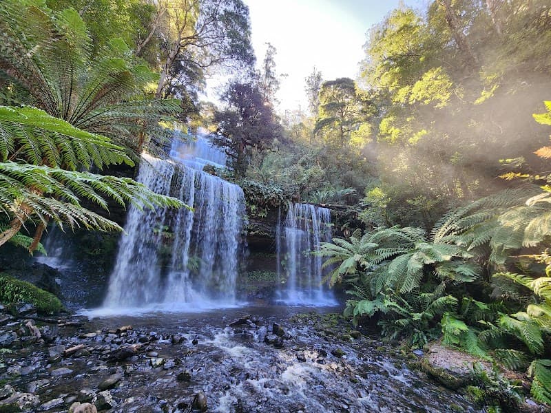 Mt Field National Park & Russell Falls Day Trip