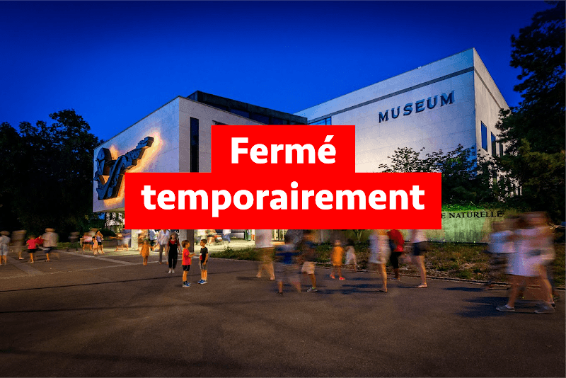 Muséum d’Histoire Naturelle de Genève