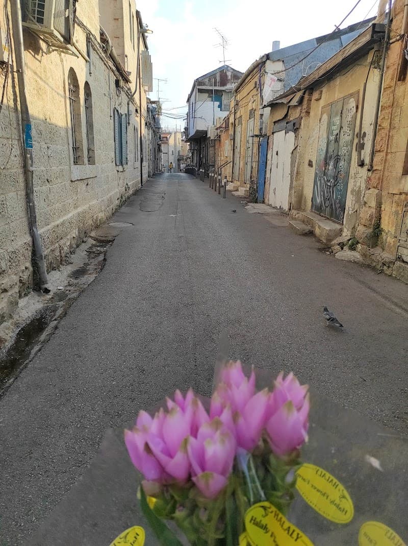 Nachlaot Neighborhood Free Explore