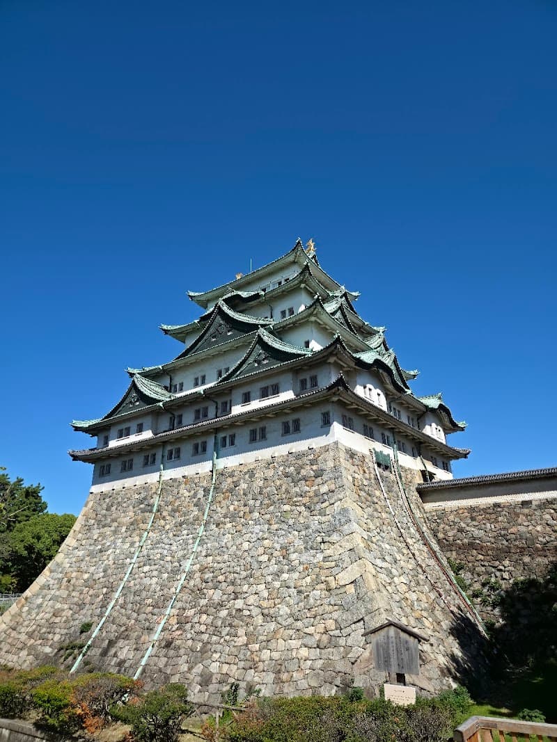 Nagoya Jungle Weekend: Castles, Culture, and Hands-On Family Fun