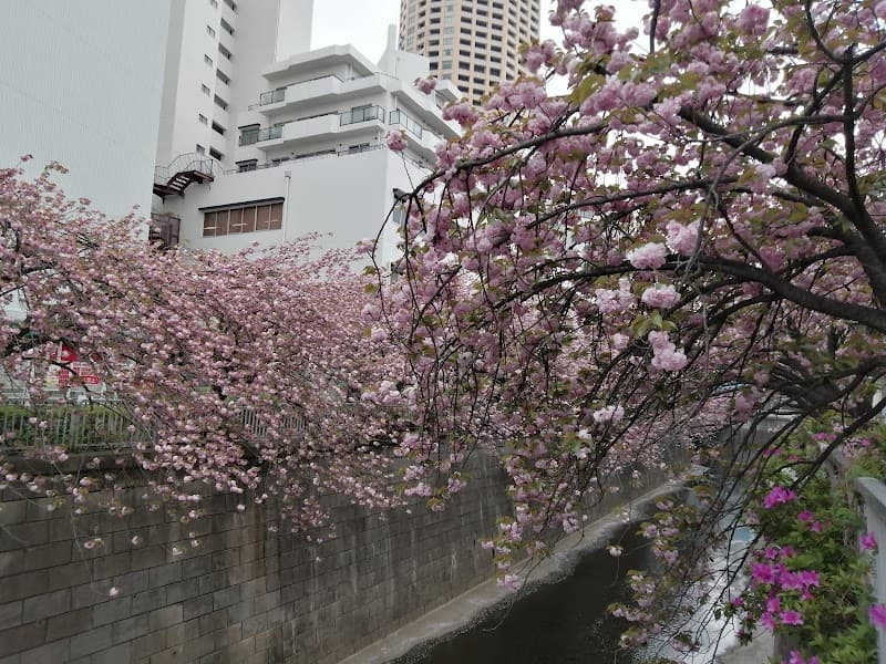 Nakameguro River Walk