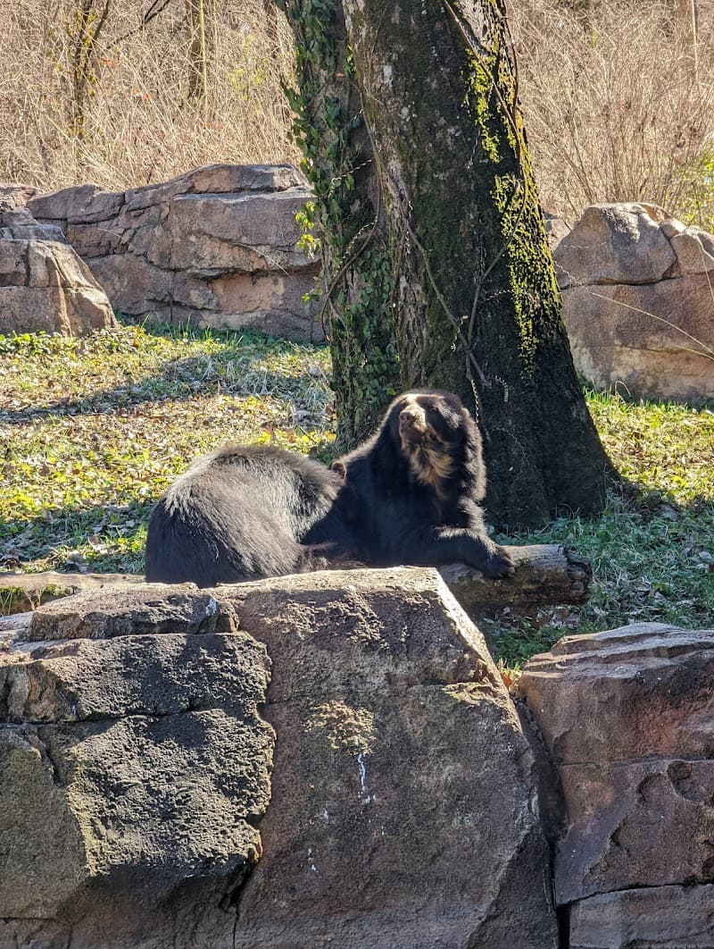 Nashville Zoo at Grassmere