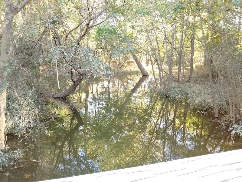 Neuse River Trail (segment walk or bike)