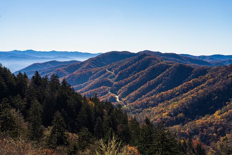 Newfound Gap Picnic (Pack-In Lunch)