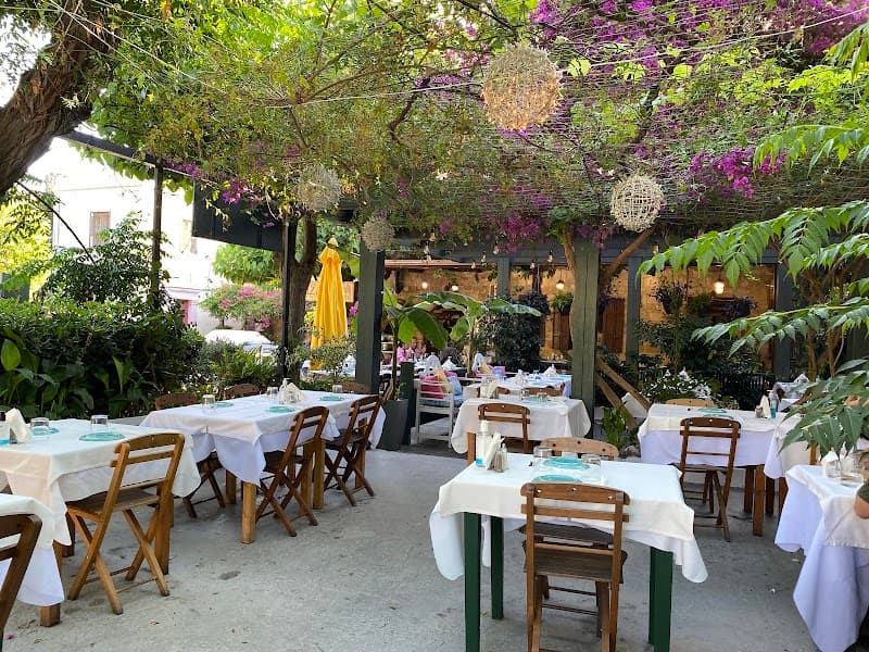 Flavors of Rhodes: Two Days of Food, Wine & Old Town Charm