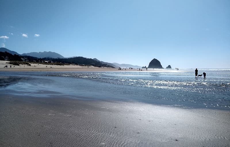 North Cannon Beach Walk toward Ecola Creek