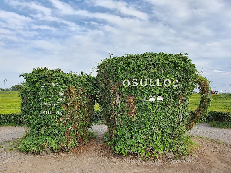 O’Sulloc Tea Museum Cafe (Vegetarian-Friendly Counter)