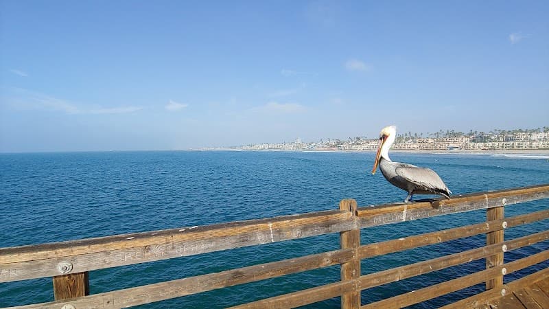 Ocean Beach Pier & Local Cooking Class