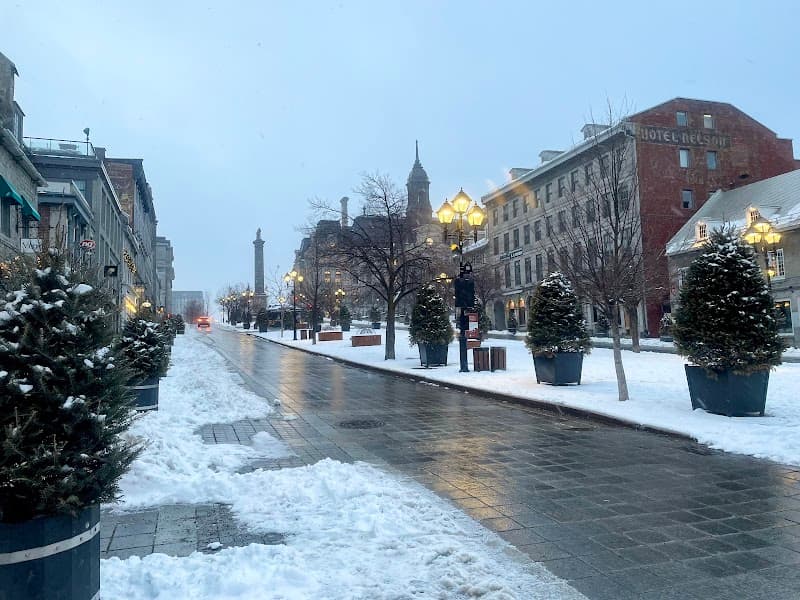 Old Montreal & Old Port Photo Walk