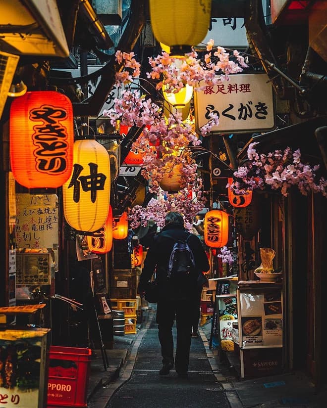 Omoide Yokocho & West Shinjuku Wandering