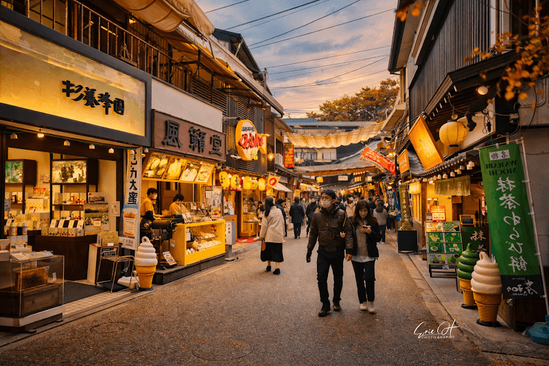 Omotesando Shopping Street Free-Explore