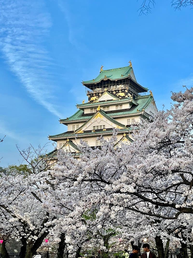 Osaka Slow Adventure: Temples, Takoyaki & Tranquil Trails