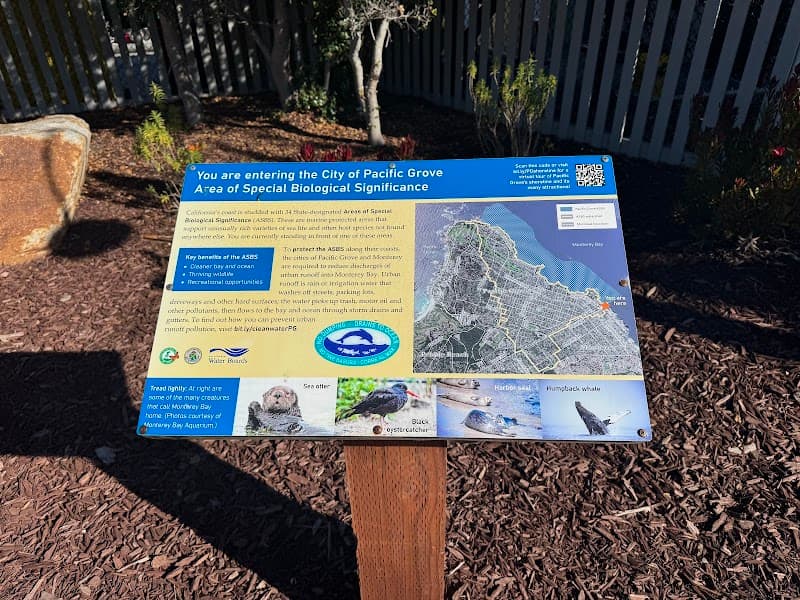 Pacific Grove Coastal Trail & Photography Stroll