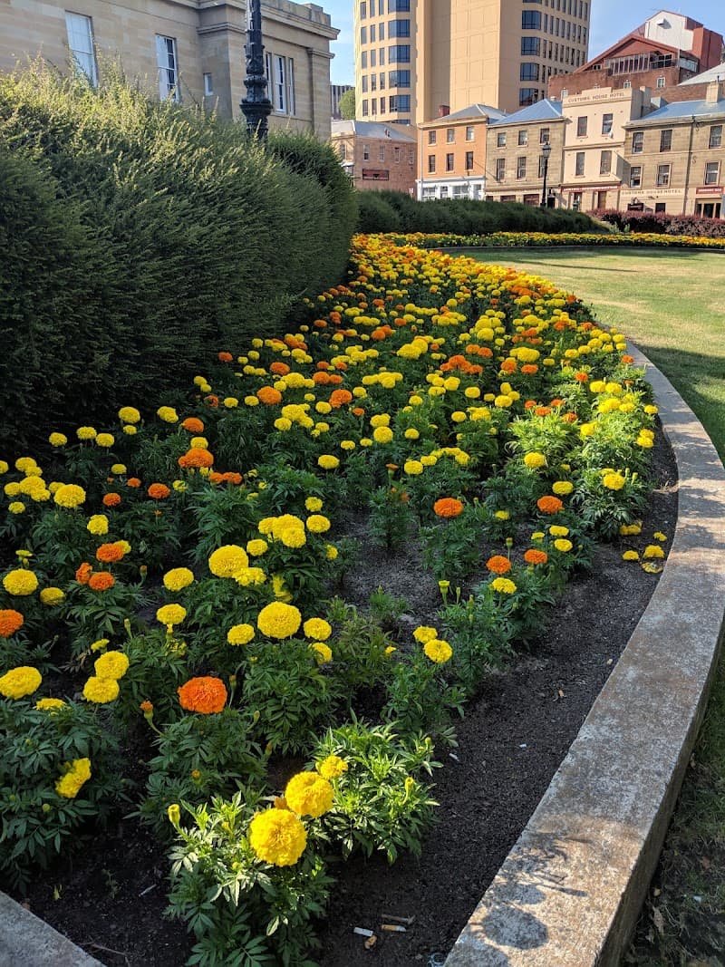 Parliament House Gardens & Salamanca Lawns