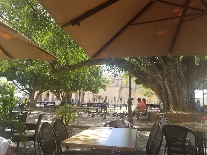 Parque Colón and Cathedral Area