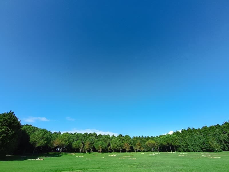 Parque da Cidade do Porto