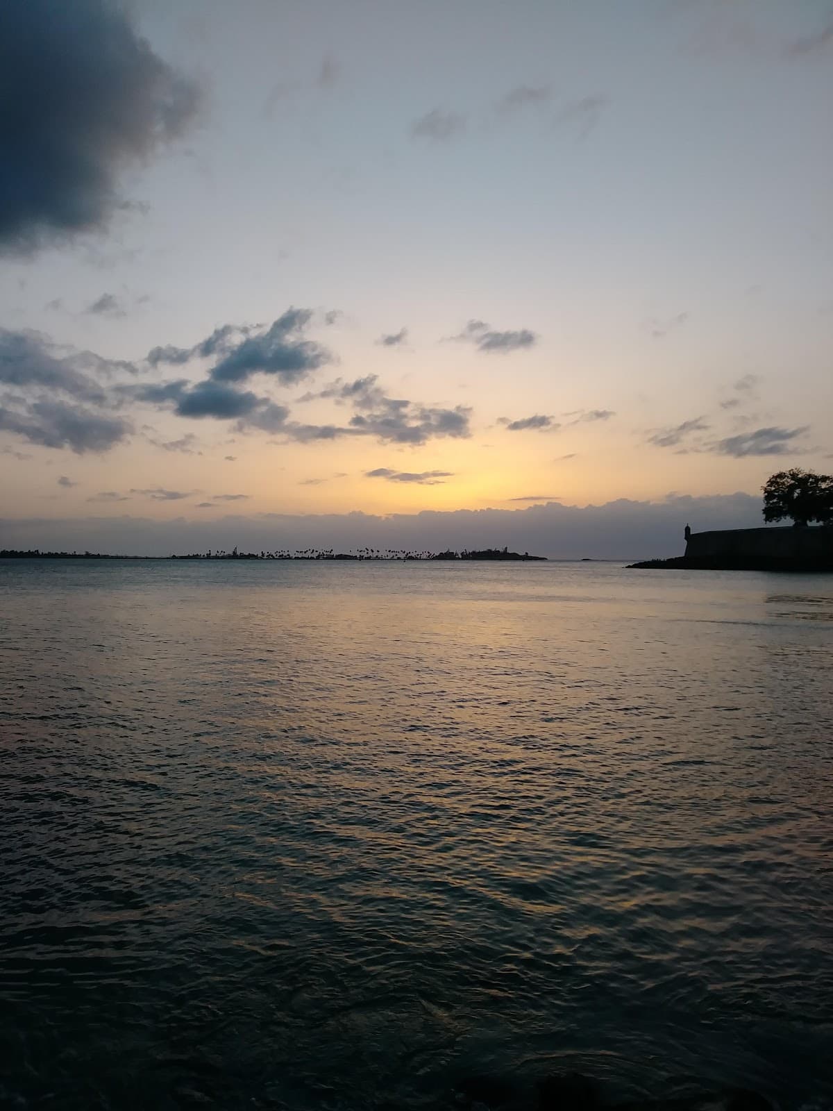 Paseo de la Princesa & Free Time