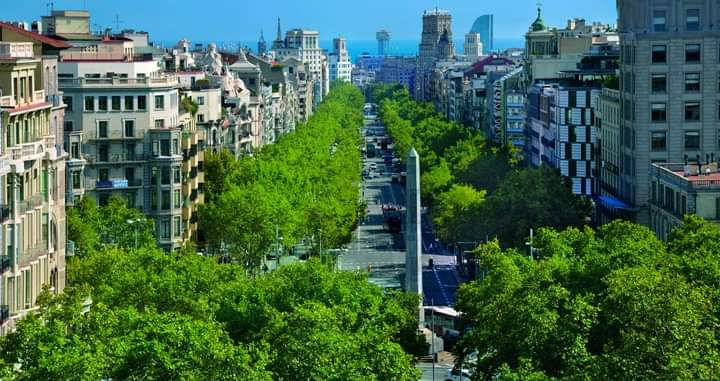 Passeig de Gràcia Architectural Stroll