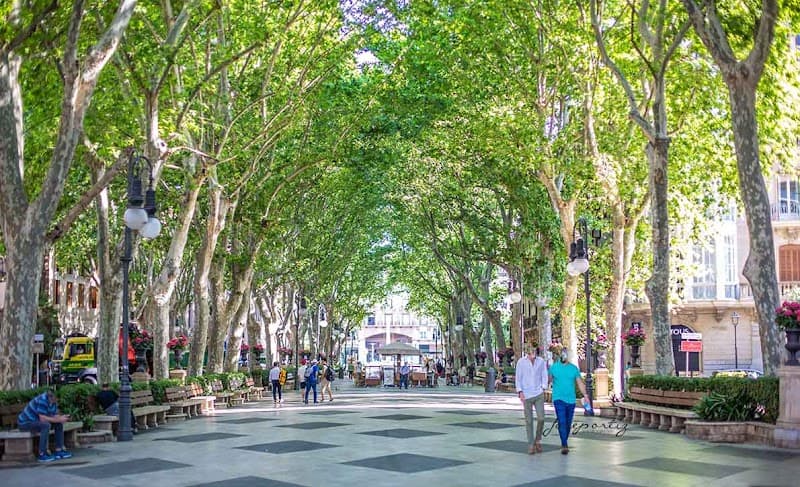 Passeig des Born and Old Town Courtyards