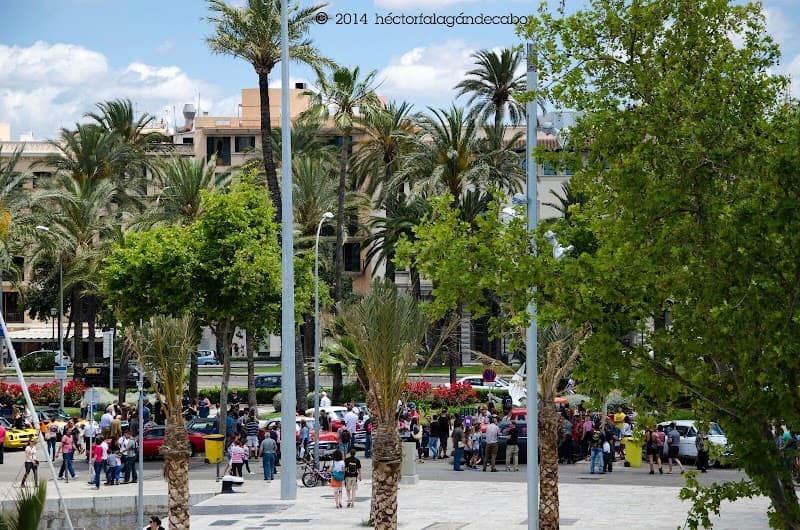 Passeig Marítim (Seafront Promenade)