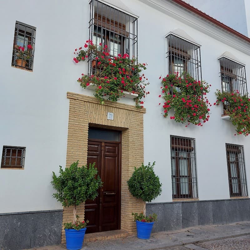 Patio and Courtyard Walk in San Basilio
