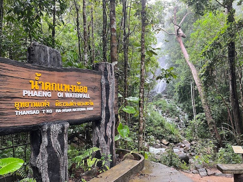 Jungle Waves & Waterfalls: 7 Days on Koh Phangan