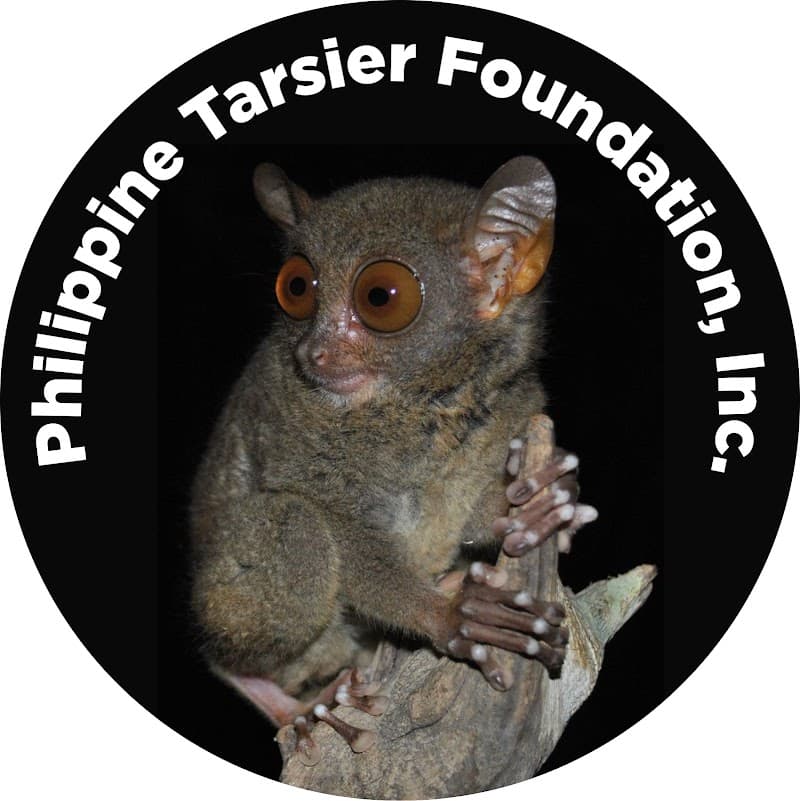 Philippine Tarsier Sanctuary (Corella or Loboc)