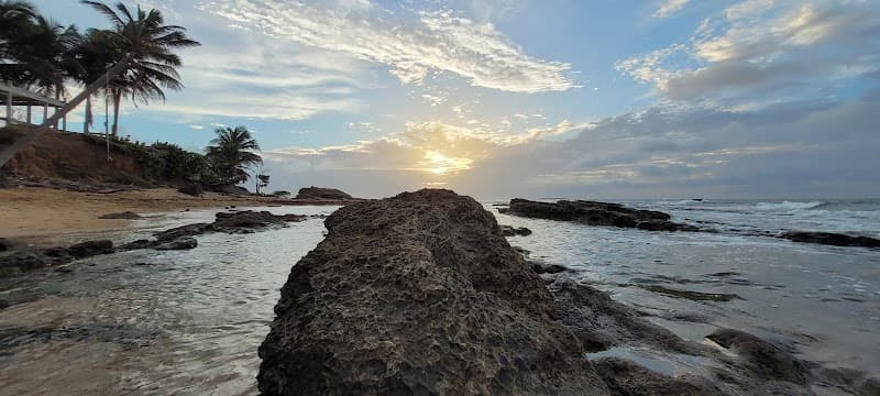 Jungle Wild Puerto Rico: 7-Day Adventure Escape