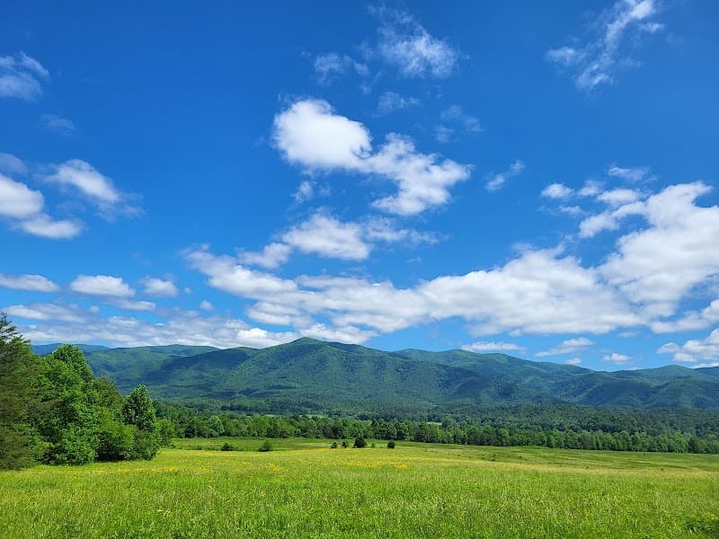 Picnic Area near Cades Cove