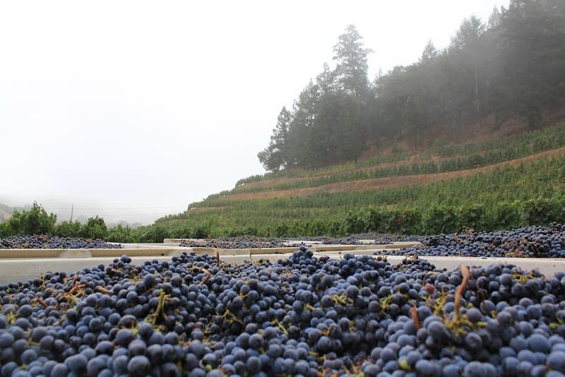 Pine Ridge Private Tasting