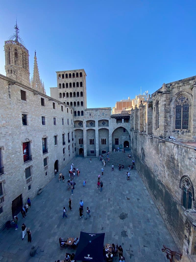 Plaça del Rei and Barri Gòtic Walk