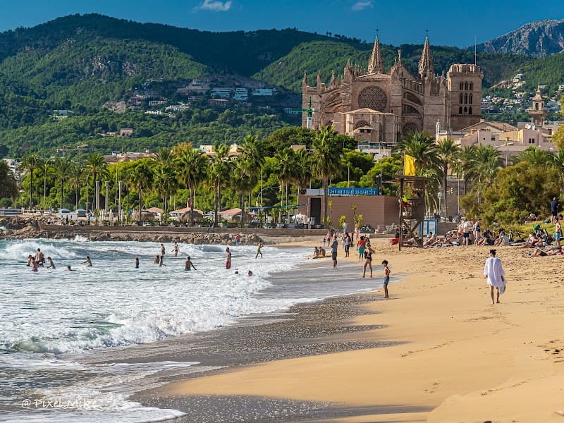 Palma Celebration: Sea, Wine, and Old-Town Evenings