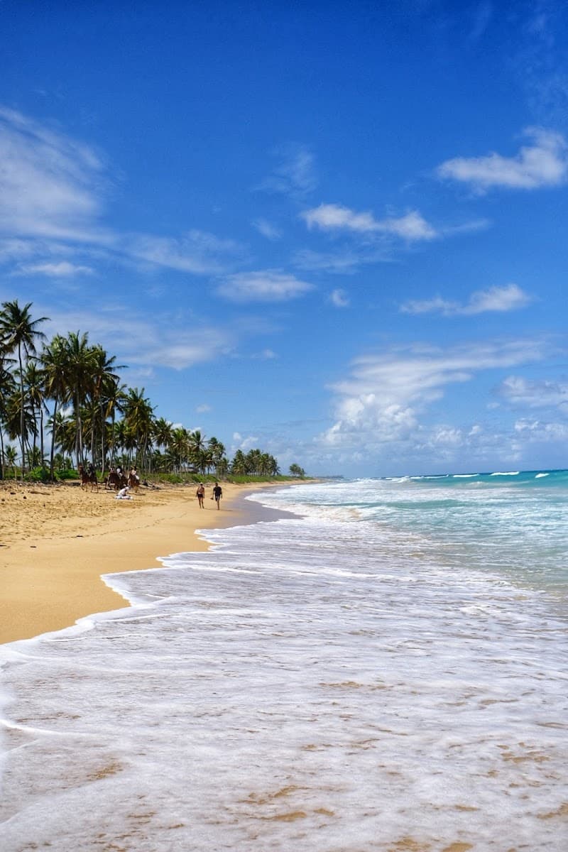 Shoestring Solo Weekend in Punta Cana