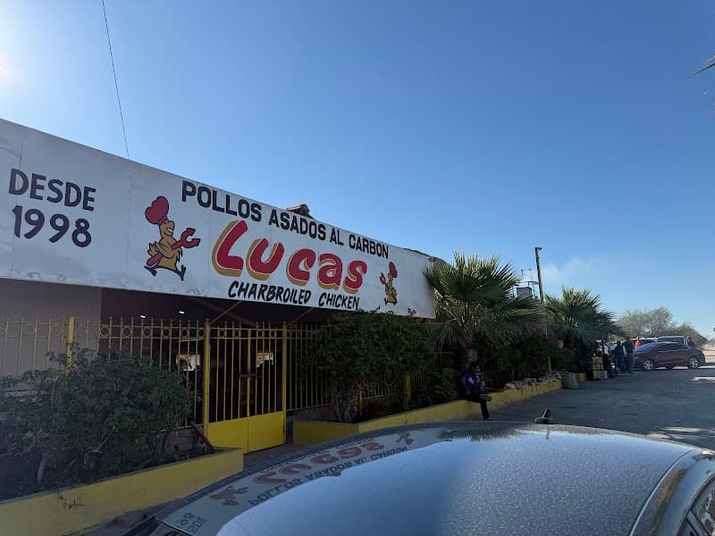 Pollo Lucas