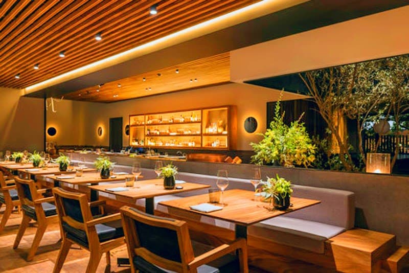 Tropical Luxury Weekend in Mexico City