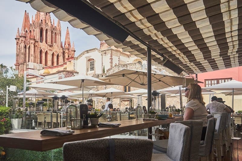 Quince Rooftop (mocktail & bites)