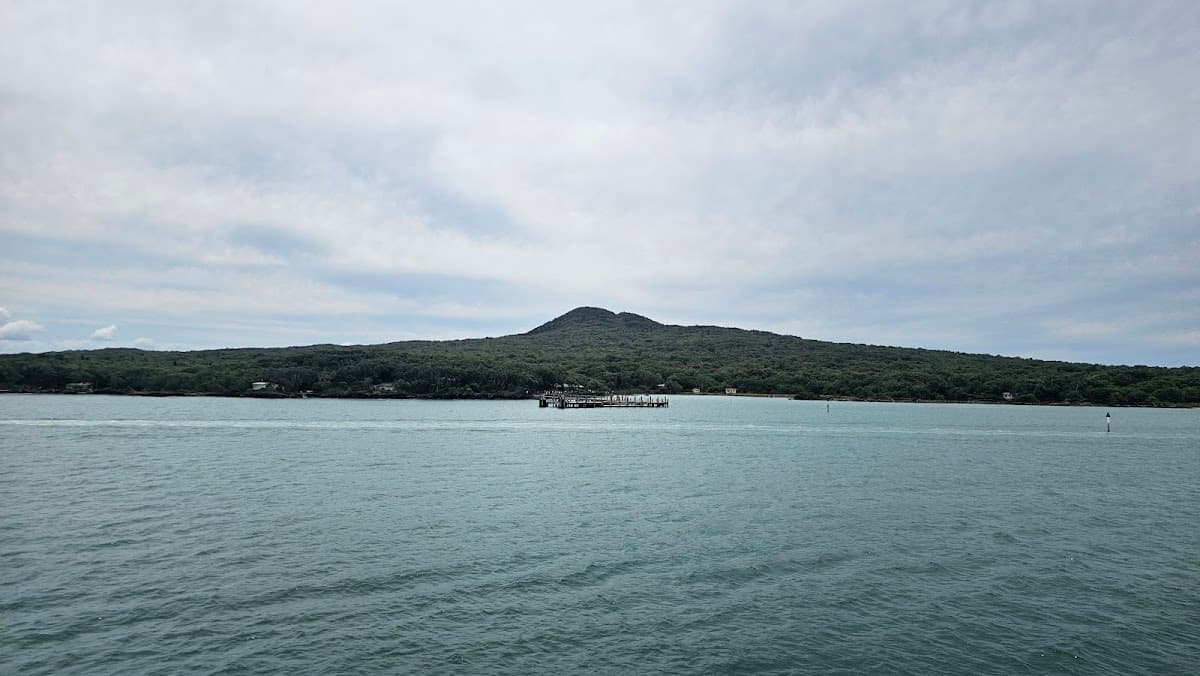 Rangitoto Island Hike