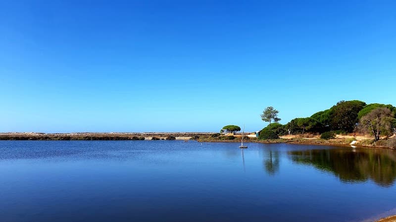 Ria Formosa Boat Experience