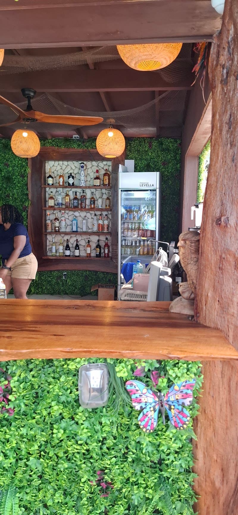 Nassau Paradise: Pigs, Reefs & Sunset Bliss