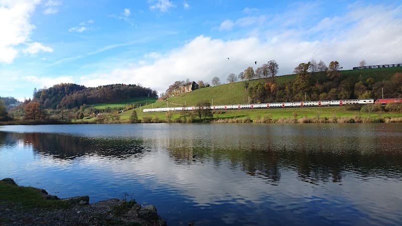 Rotsee or Gütsch Forest Walk