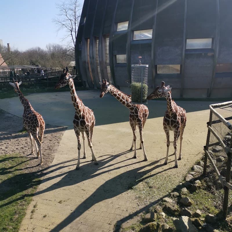 Rotterdam Zoo (Diergaarde Blijdorp) – Tropical & Ocean Areas