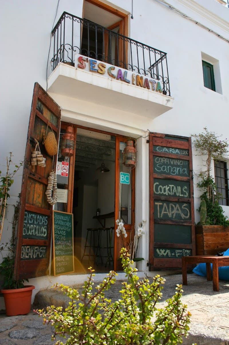 Ibiza Wild Coves & Family Jungle-Coast Adventure
