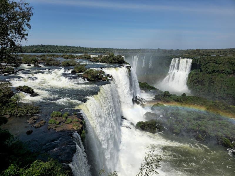 Jungle Wild Romance at Iguazu Falls