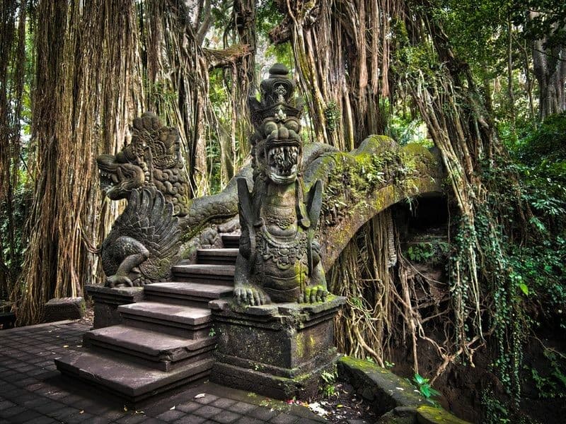 Sacred Monkey Forest Sanctuary